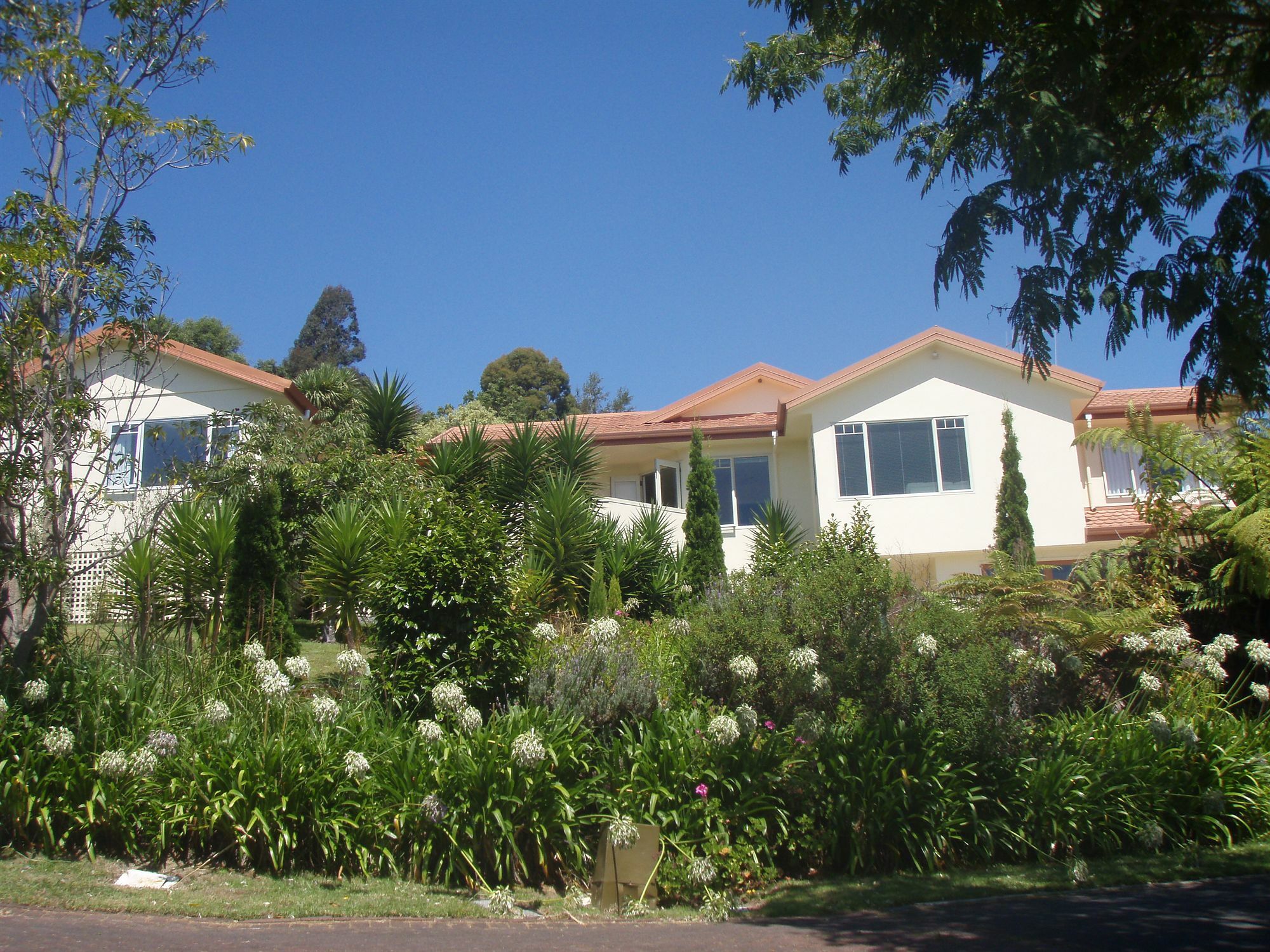 Seascape Villa B&B Tauranga Exterior photo